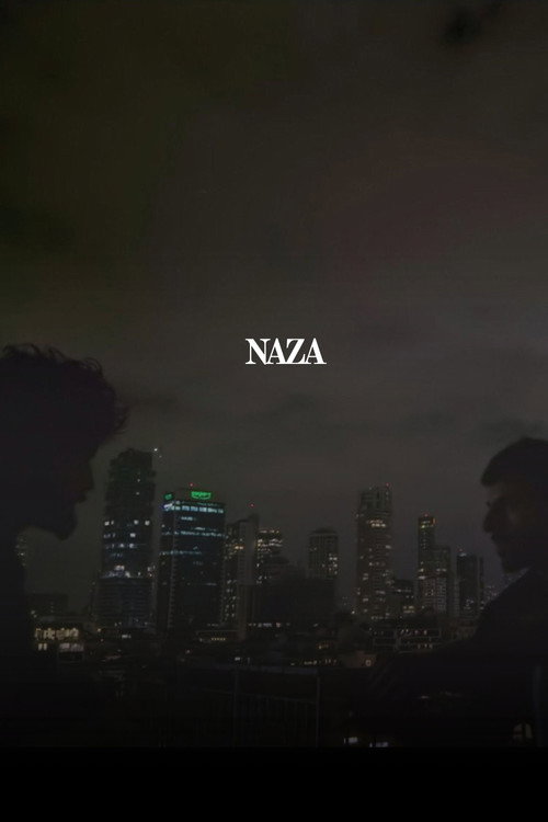 Cartel de NAZA