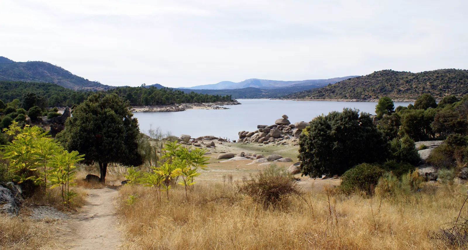 Embalse de El Burguillo rodeado de laderas de pinar en la Reserva Natural del Valle de Iruelas, Ávila.