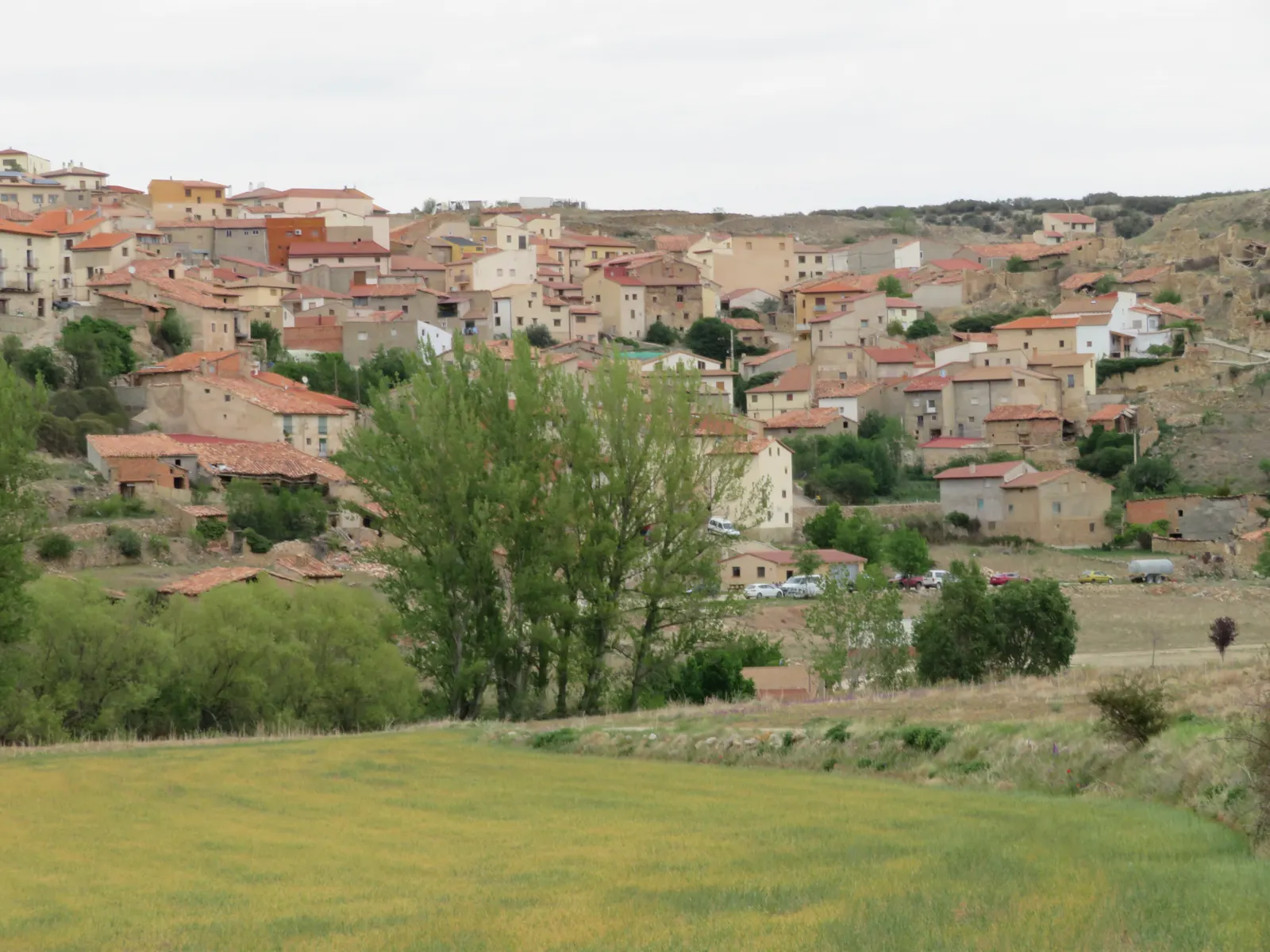 Vista del casco urbano de Ejulve, con casas de tejado rojo escalonadas en una ladera rocosa, arboleda en primer plano y un campo de cereal verde.