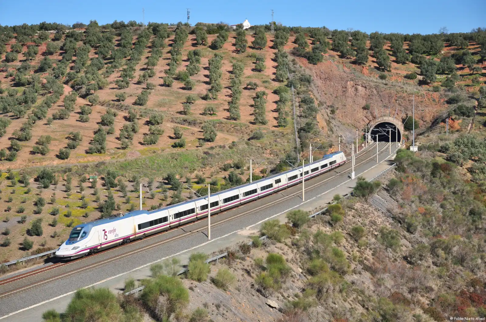 Un tren de alta velocidad circula por una vía tendida en la ladera de un cerro de olivar, junto a la boca de un túnel