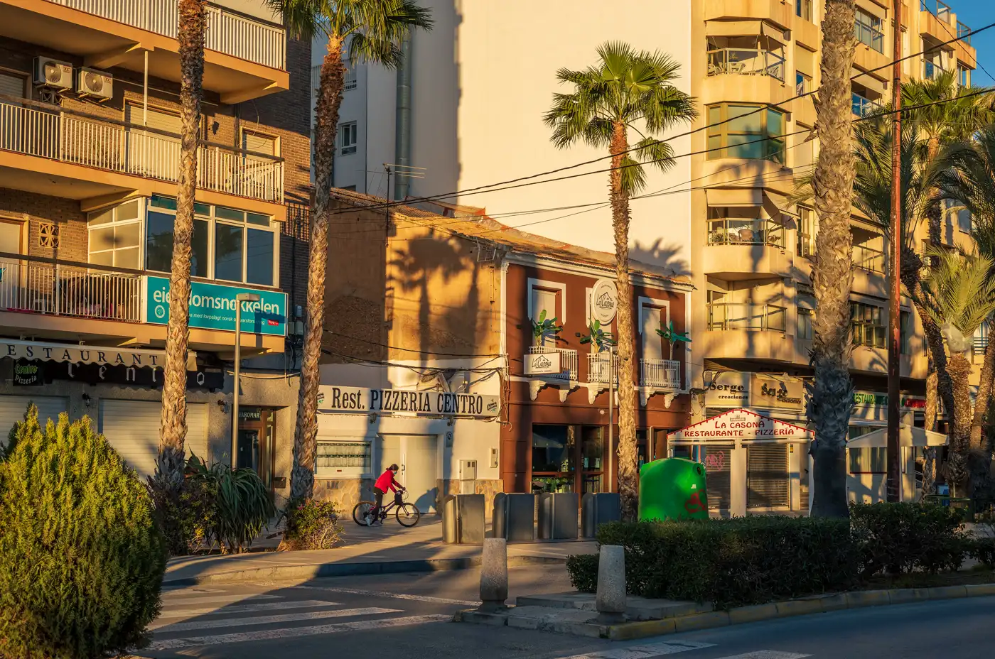 Bloques de viviendas con balcones y bajos comerciales junto a una avenida con palmeras en Torrevieja; un ciclista cruza la calzada a última hora de la tarde.