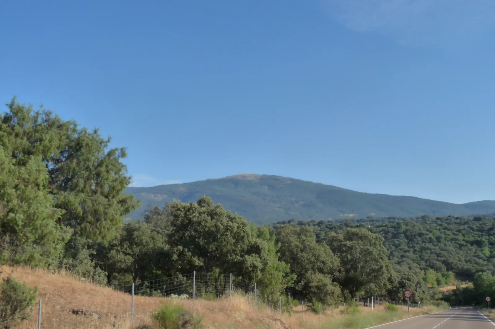 Carretera CM-5006 vista desde el arcén, con encinas y pinos a ambos lados, pasto seco en primer plano y las lomas boscosas de la Sierra de San Vicente al fondo bajo un cielo despejado.