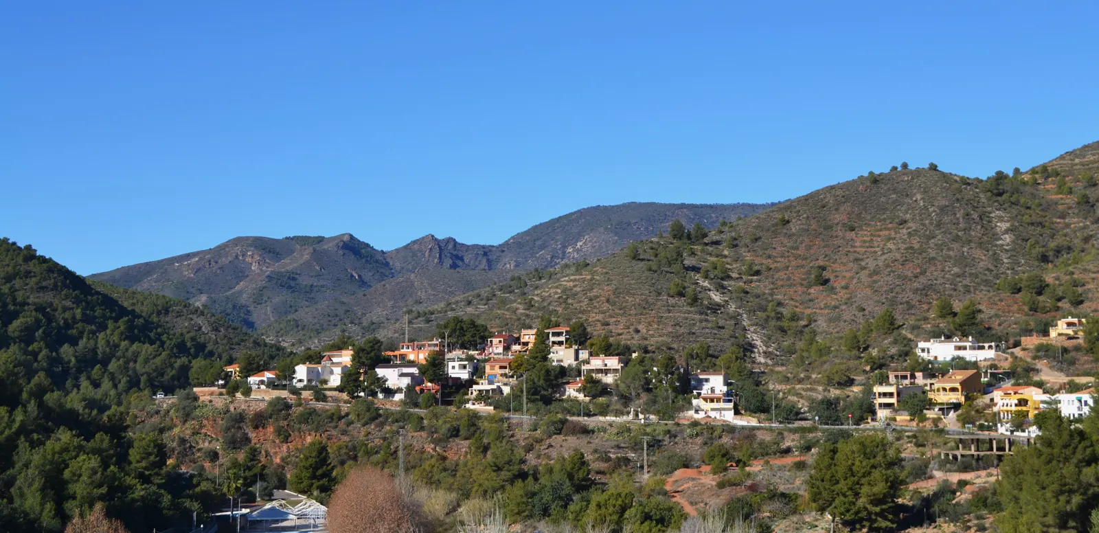 Laderas de pinar y monte bajo de la Serra d'Espadà vistas desde la Vall d'Uixó, con una urbanización de casas dispersas encajada entre los árboles al pie de la sierra.