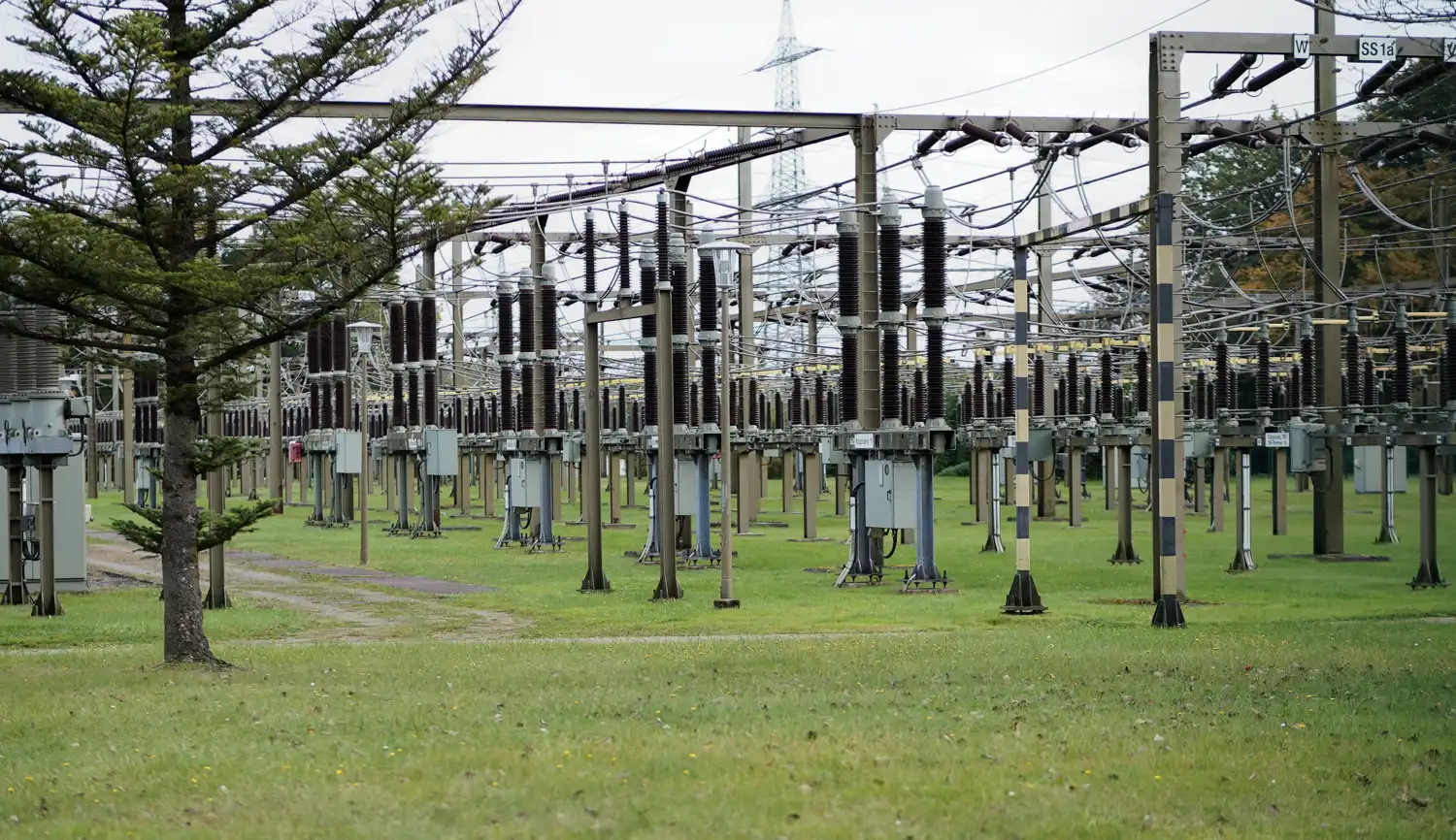 Explanada de hierba con decenas de columnas metálicas que sostienen aisladores cerámicos oscuros y haces de cables de alta tensión; al fondo, torres de celosía y un abeto en primer plano.