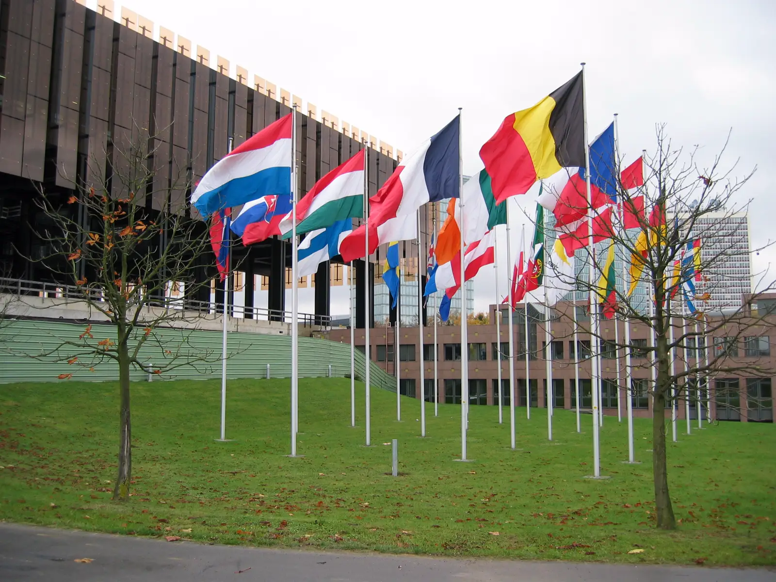 Hilera de banderas de los Estados miembros de la Unión Europea ondeando sobre un césped, con los edificios del Tribunal de Justicia de la Unión Europea al fondo, en el barrio de Kirchberg de Luxemburgo.