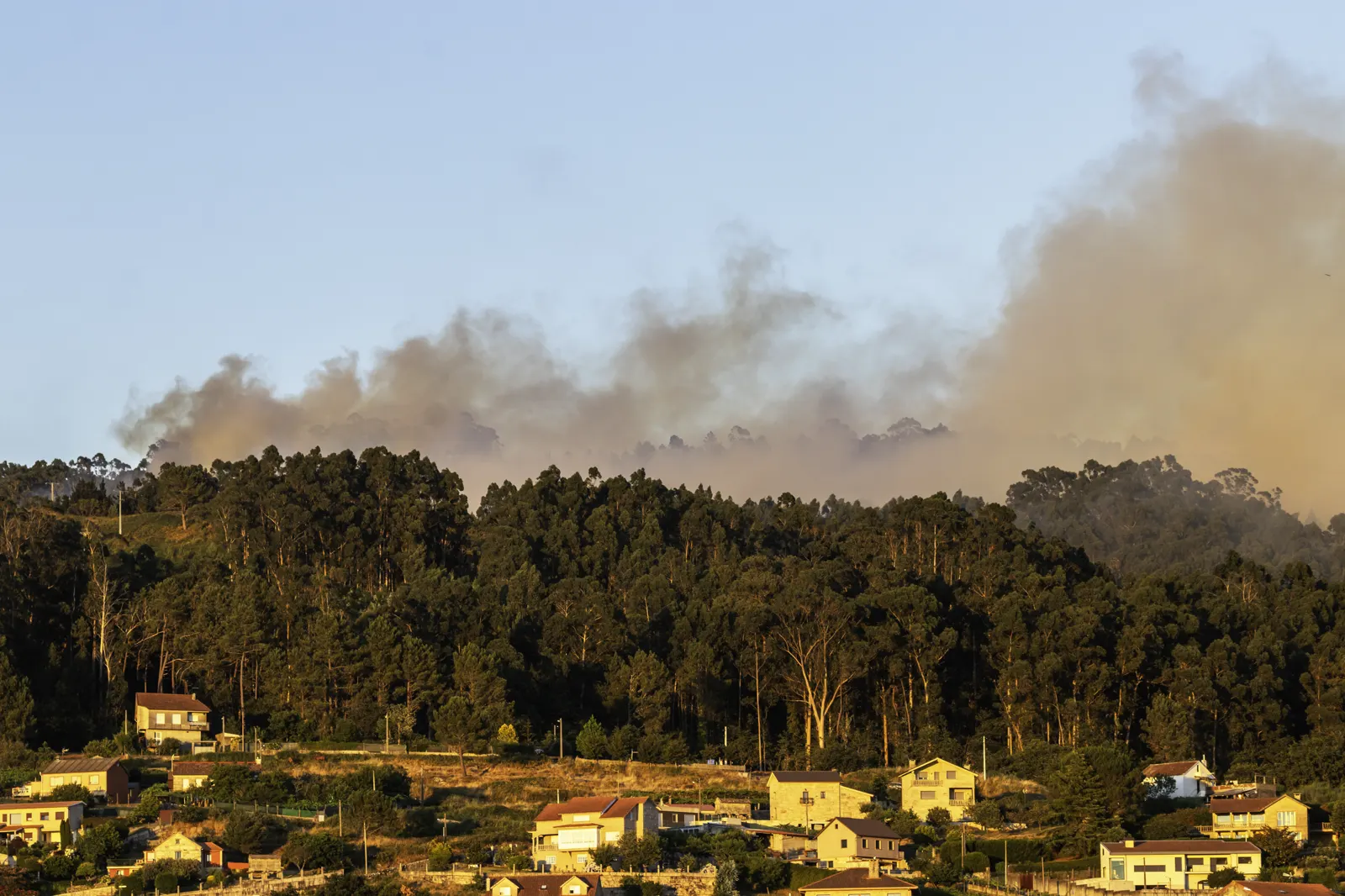 Ladera cubierta de pinos y eucaliptos con una gran columna de humo blanco y pardo elevándose por detrás de la línea de árboles a última hora de la tarde. En primer plano, casas dispersas de una aldea sobre una loma verde.