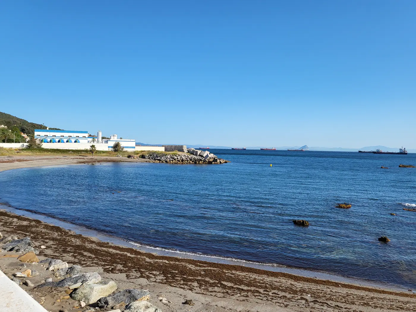 Playa en curva de arena oscura cubierta de algas, con rocas en primer término y el mar en calma; al fondo, a la izquierda, una nave industrial blanca y azul junto a una escollera de bloques de hormigón, y en el horizonte varios buques mercantes fondeados.